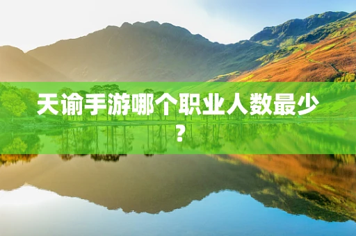 天谕手游哪个职业人数最少？