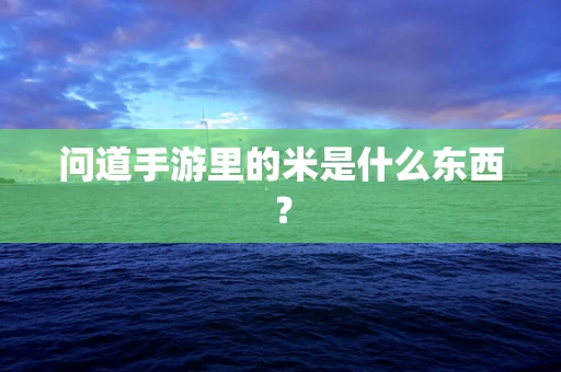 问道手游里的米是什么东西？